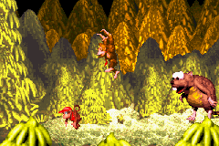 Donkey Kong Country